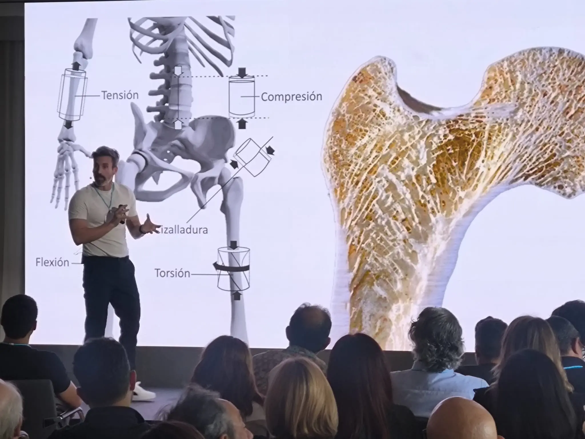 Docencia especializada en ejercicio físico y salud